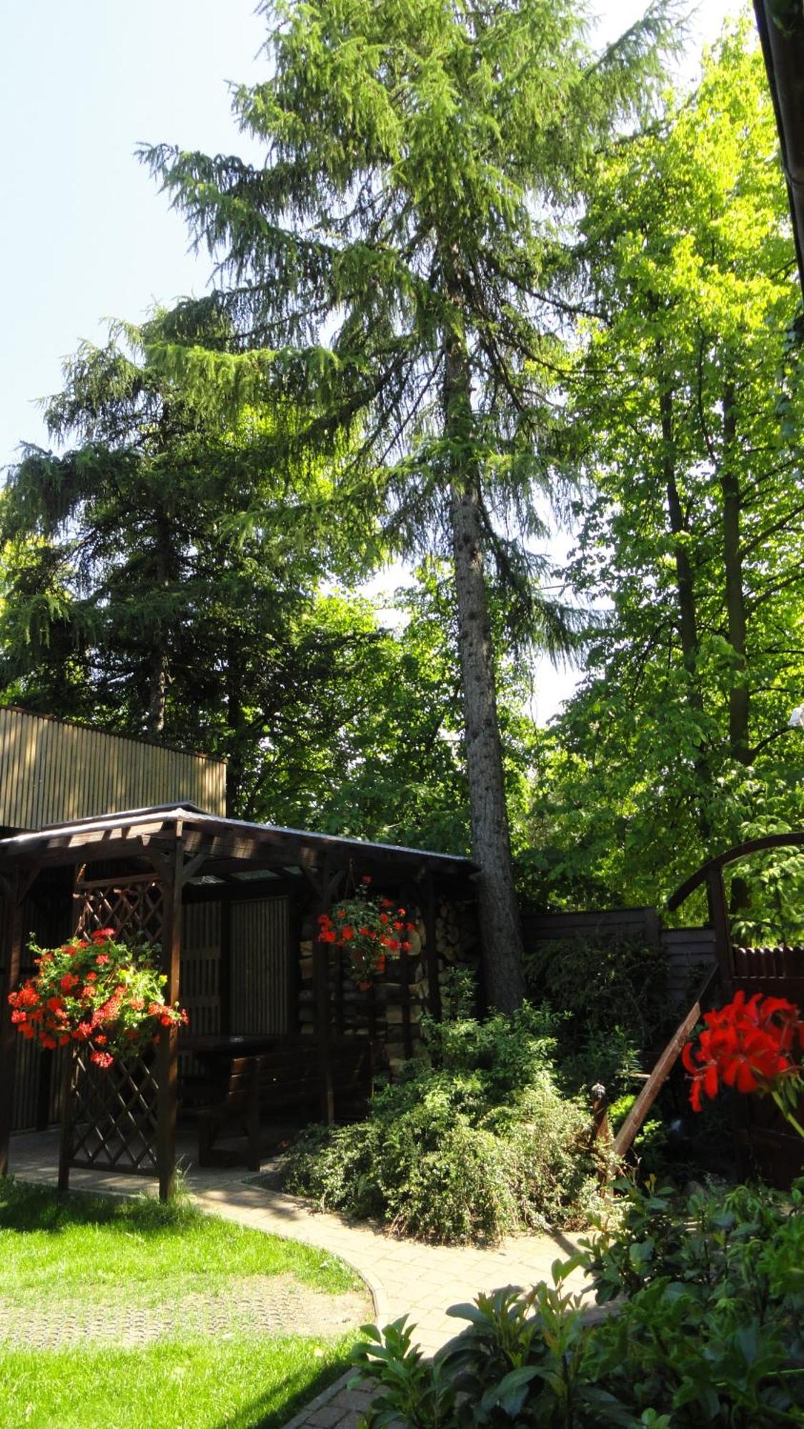 Villa Zosienka Гданьск Экстерьер фото